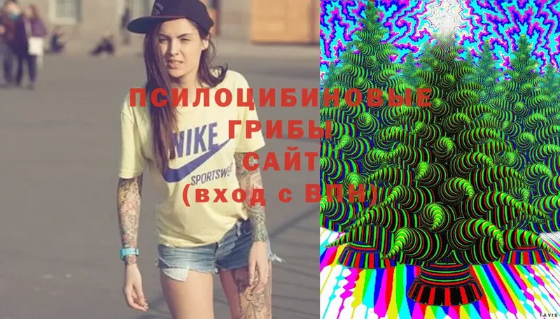 Галлюциногенные грибы Cubensis Безенчук